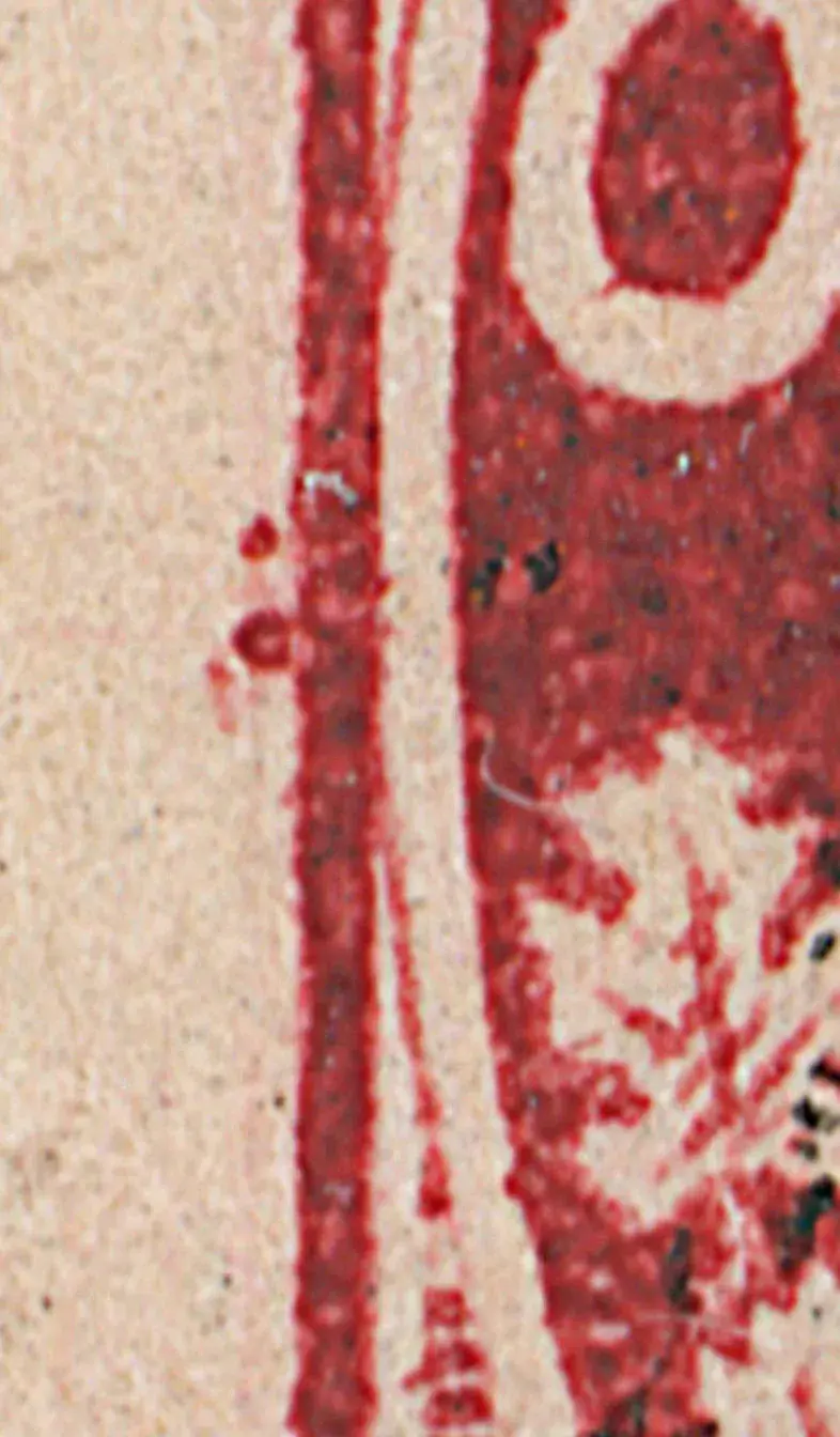 2¢C Dbl L GD b cu b.webp